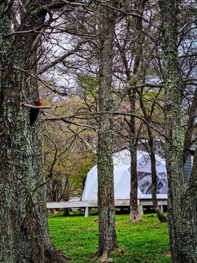Glamping Patagonia Nativa Rural Coyhaique Exterior photo
