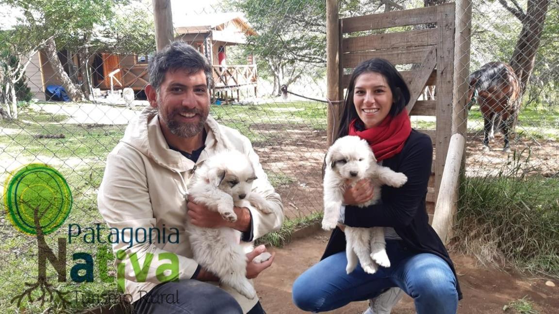 Glamping Patagonia Nativa Rural Coyhaique Exterior photo